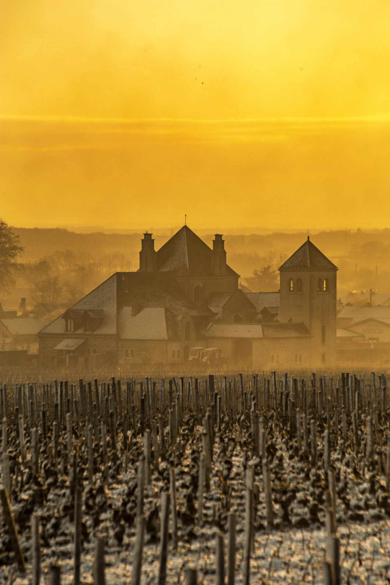 combi-vignes-chemins-bourgogne