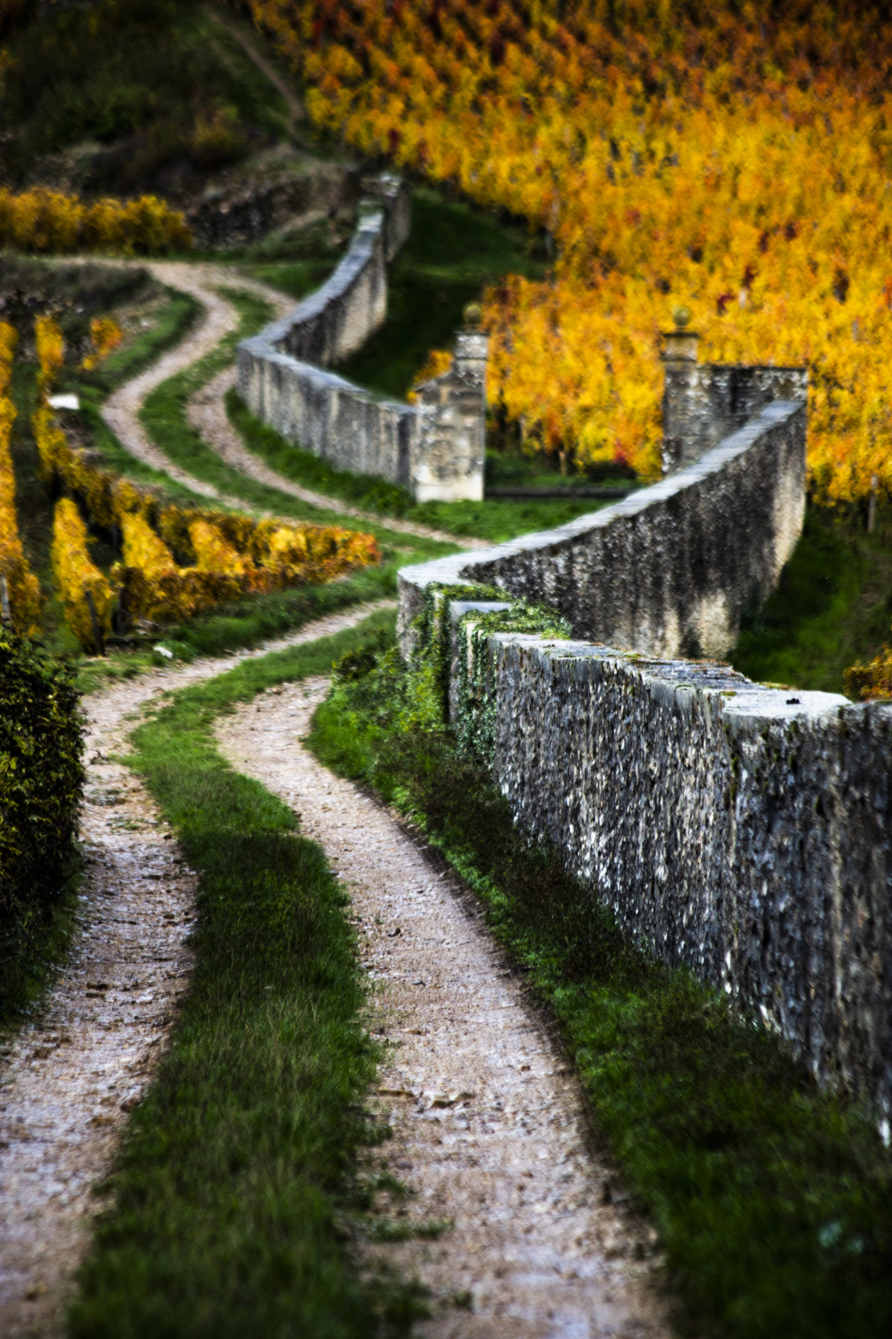 tours-place-chemins-bourgogne