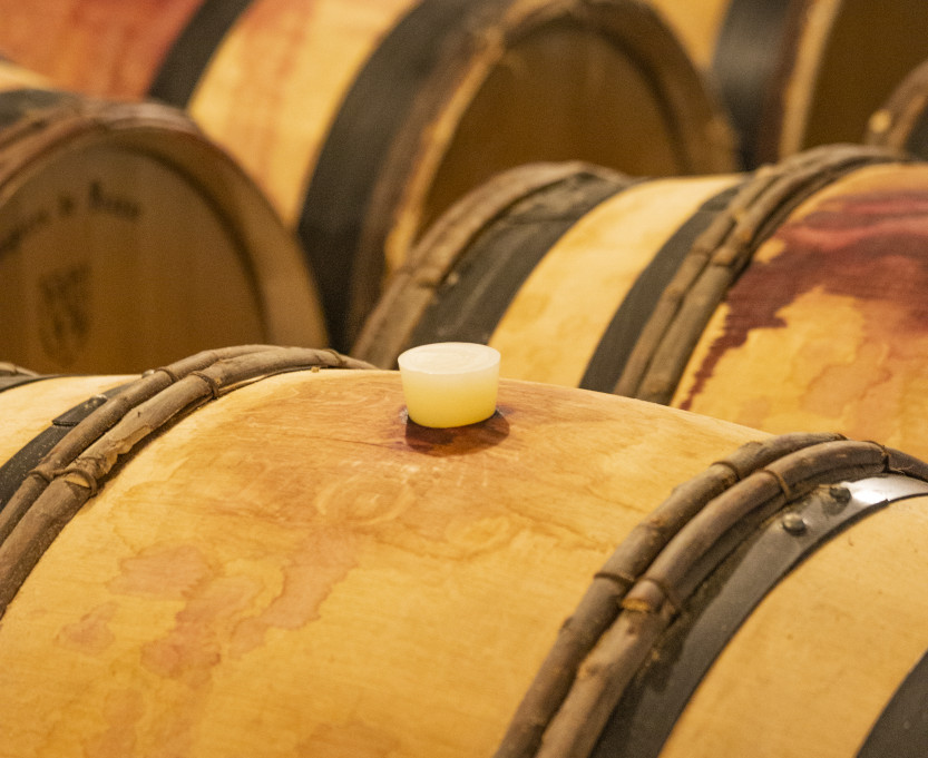 barrels-burgundy