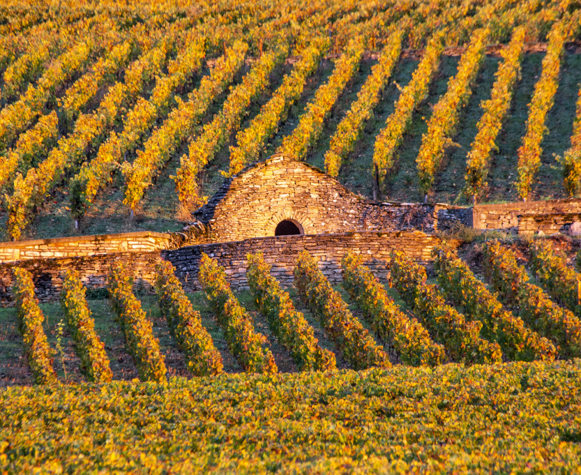 cabotte-bourgogne