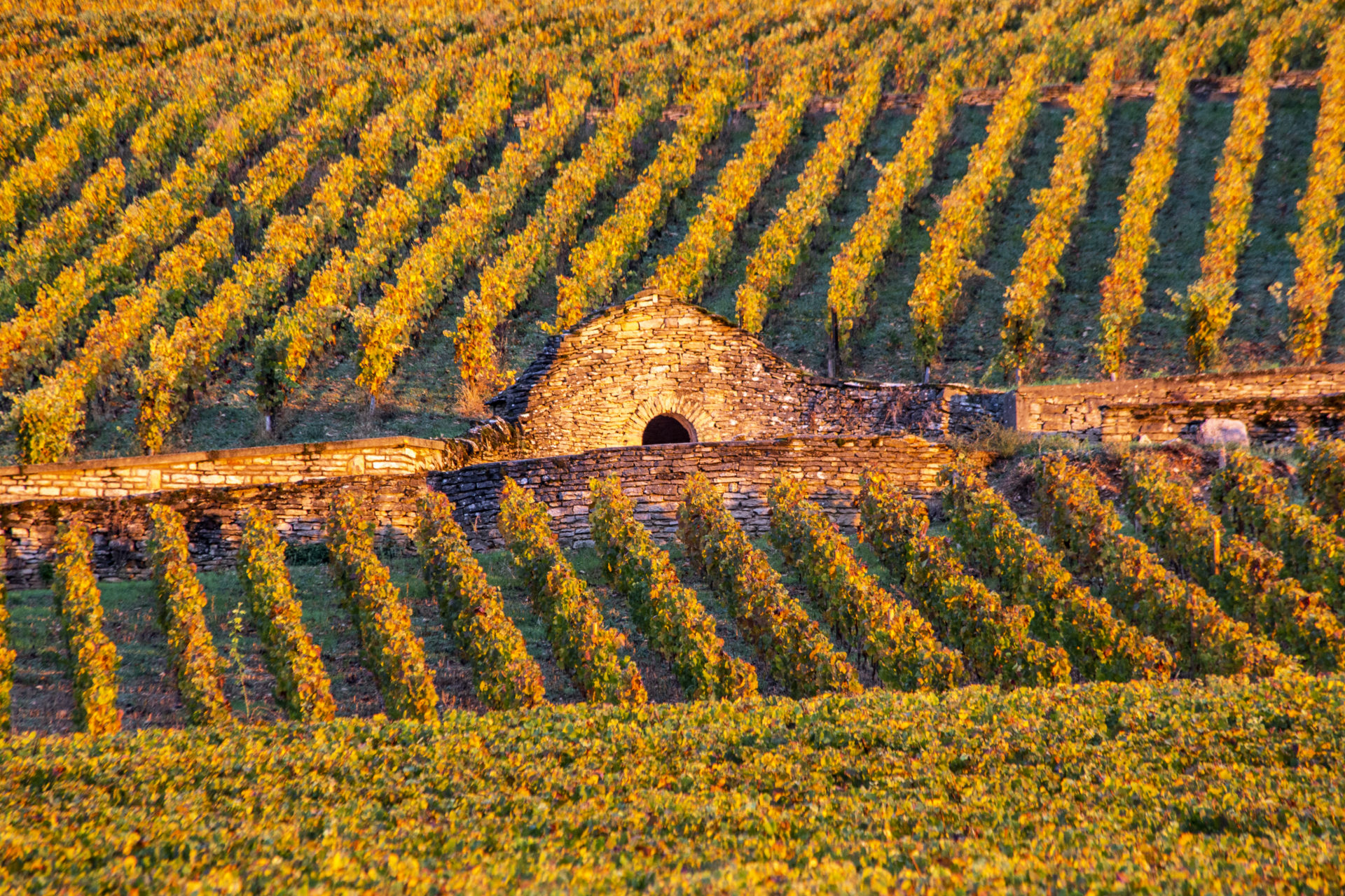 http://cabotte-bourgogne