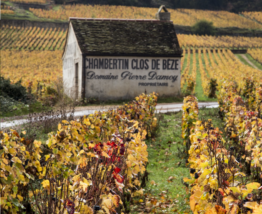 chambertin-clos-beze-burgundy