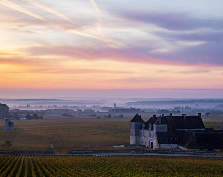 private-tours-clos-vougeot