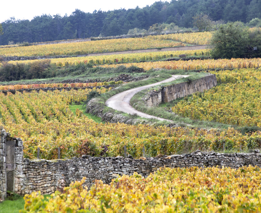 route-vins-bourgogne