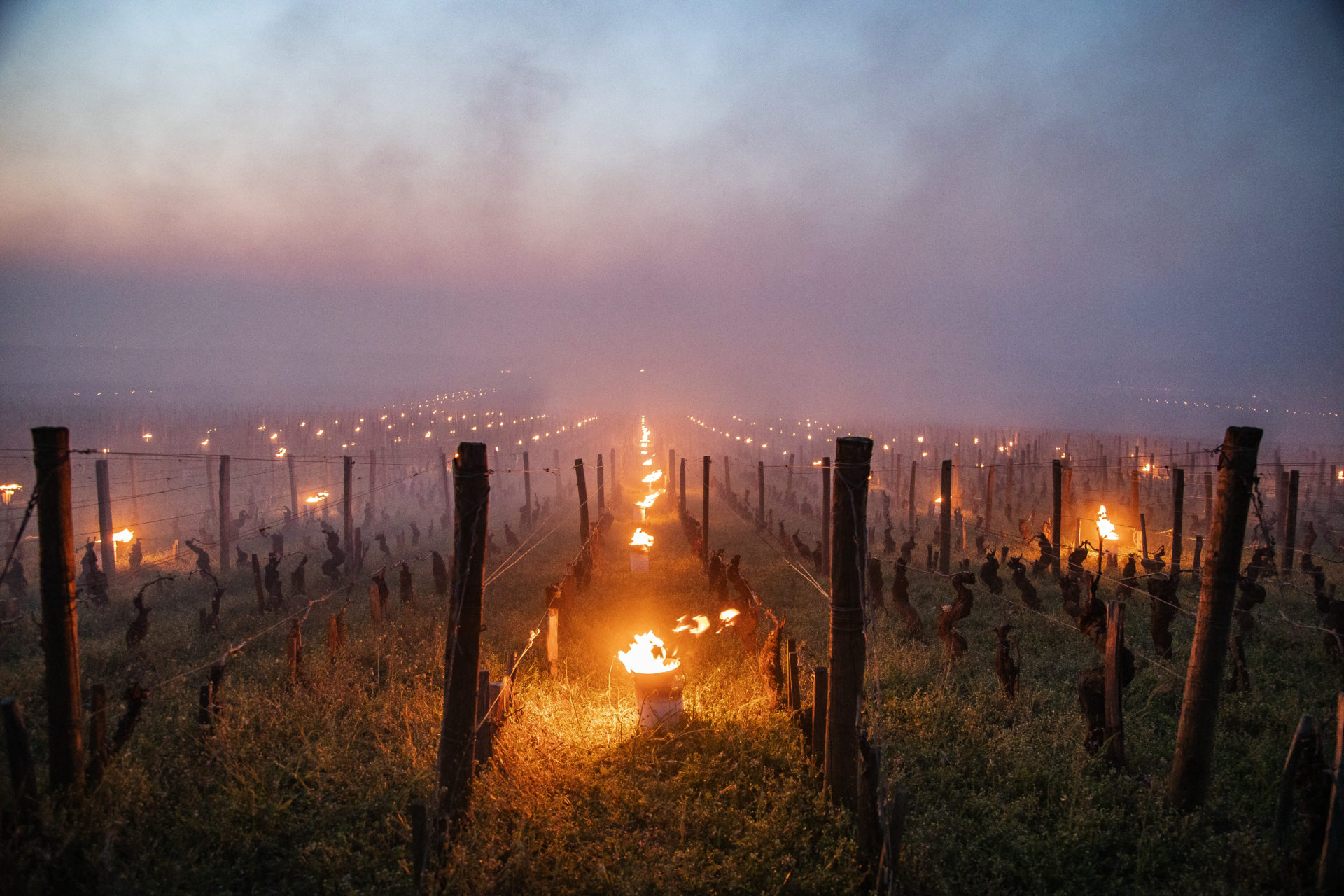 http://vignoble-bourgogne