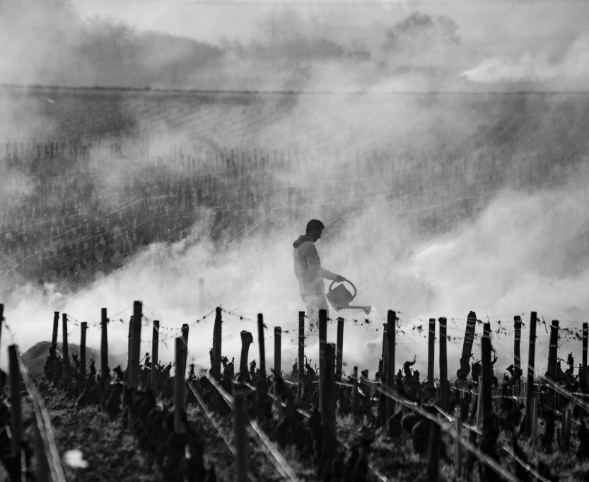 travail-vignes-bourgogne