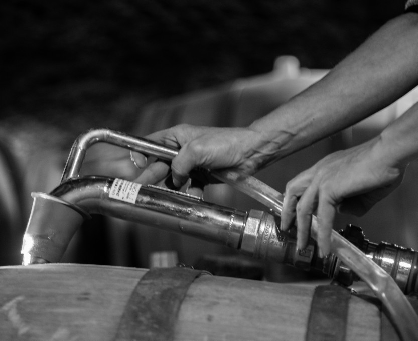 vin-tonneau-bourgogne