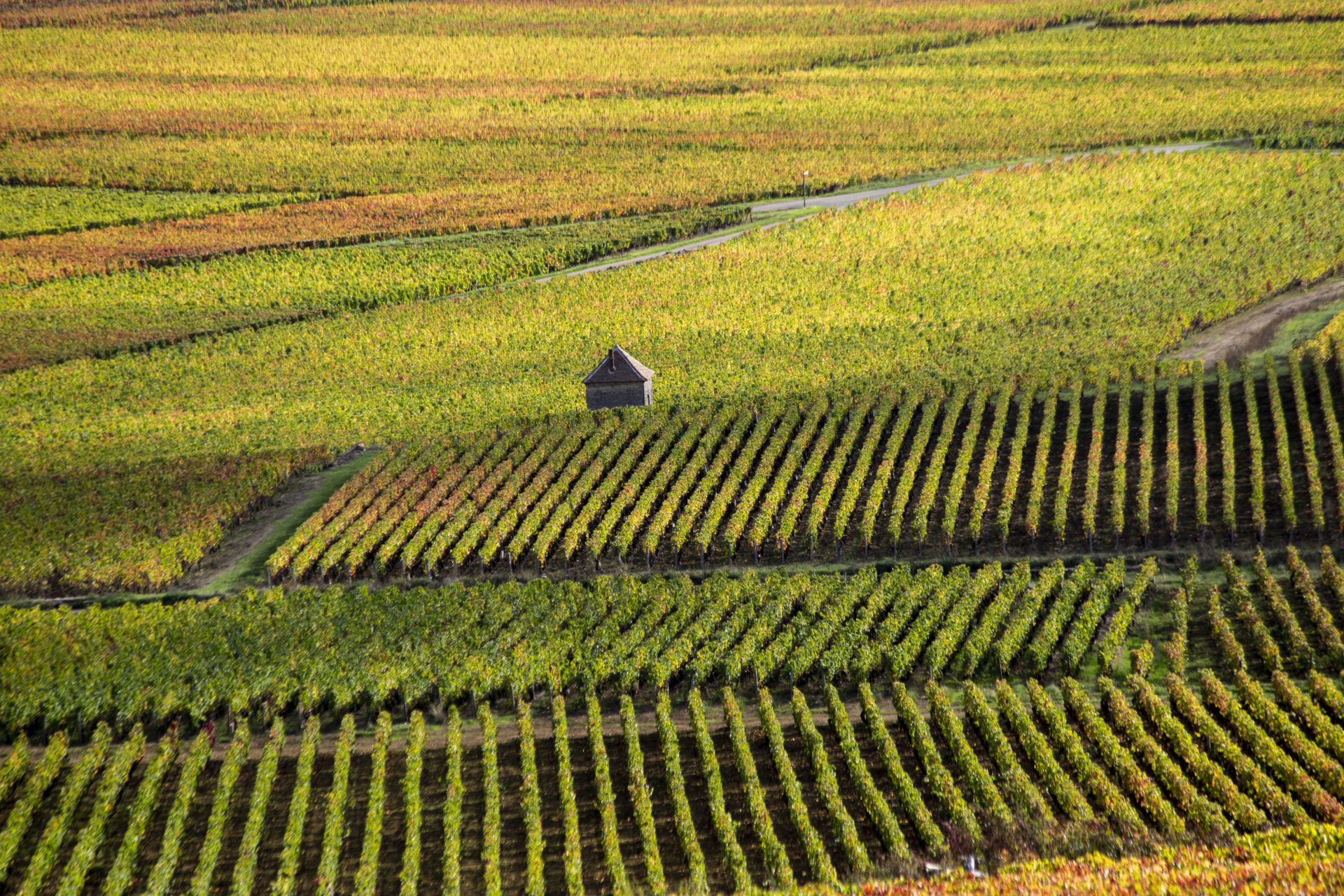 http://visite-des-vignes-bourgogne
