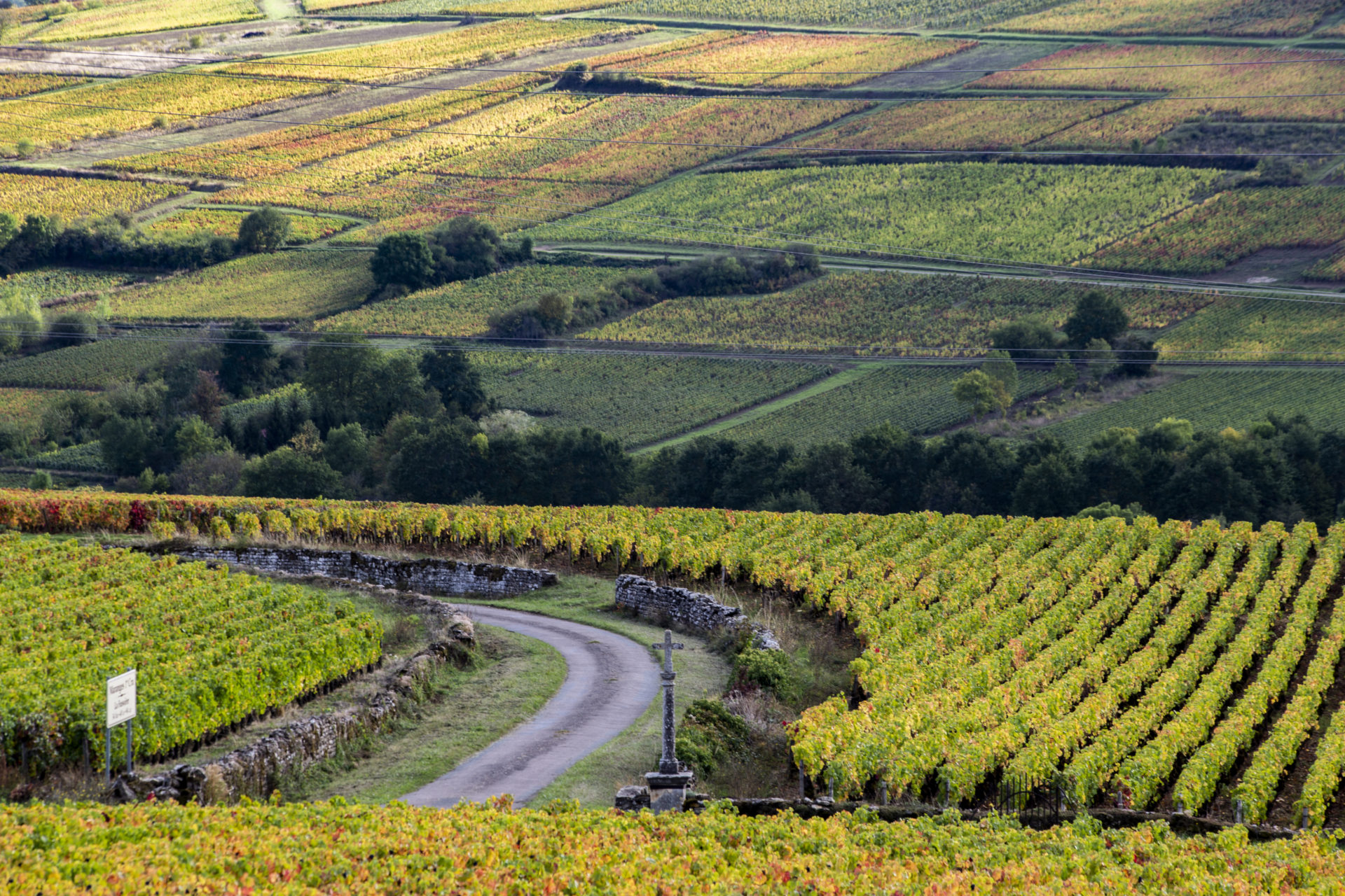 http://visite-vigne-bourgogne
