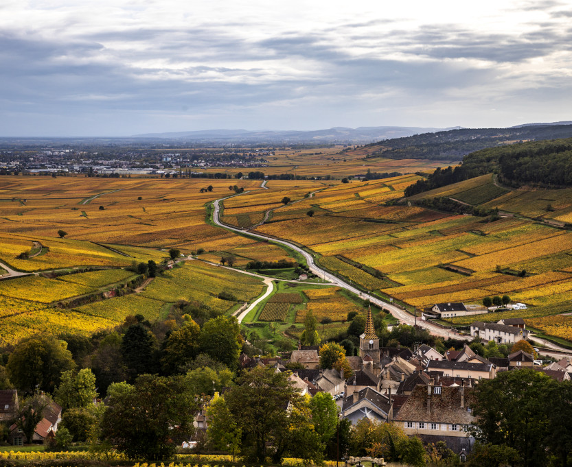 vue-vignes-visite-bourgogne